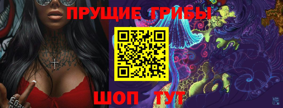 Псилоцибиновые грибы Psilocybine cubensis Домодедово