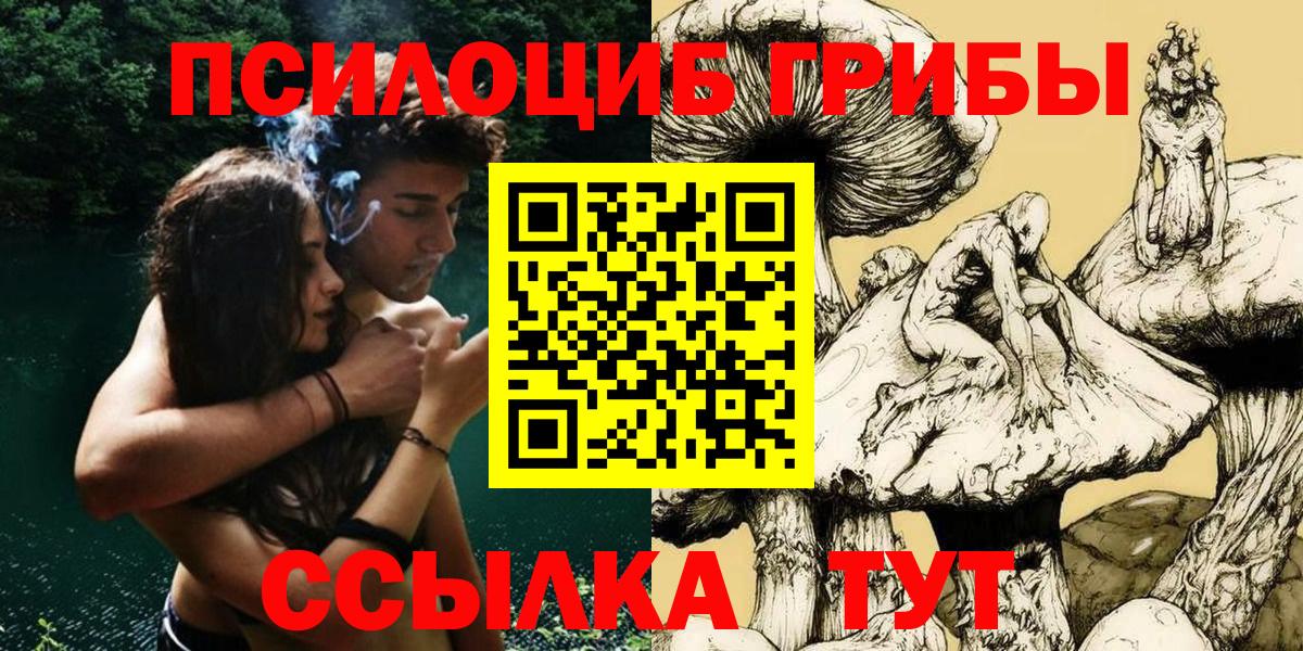 Псилоцибиновые грибы Psilocybe  Псилоцибиновые грибы MAGIC MUSHROOMS  Вход с VPN  Домодедово 